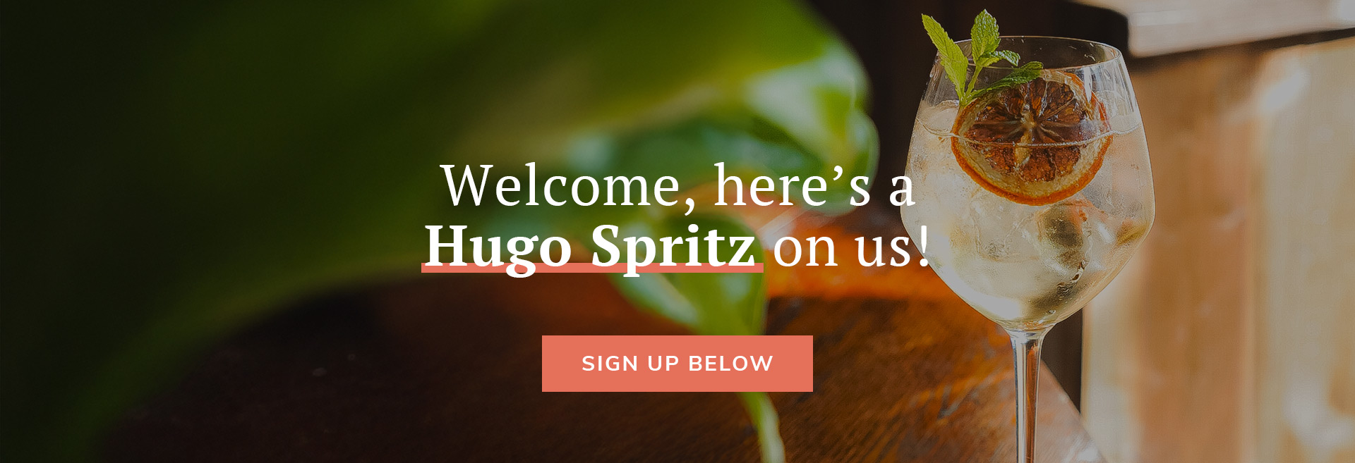 Sign up to the newsletter at The Crown and Anchor Euston